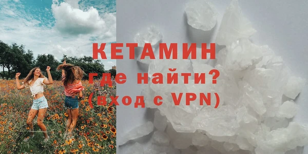 ПСИЛОЦИБИНОВЫЕ ГРИБЫ Арсеньев