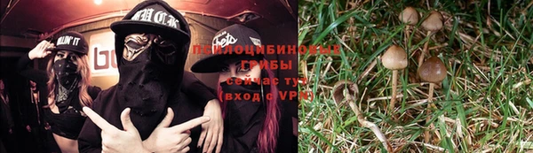 бутират Аркадак